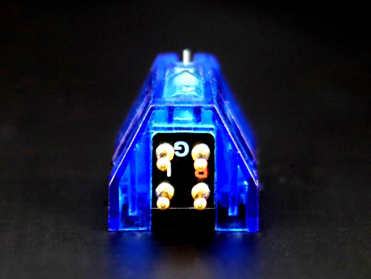 r50 bloom_4